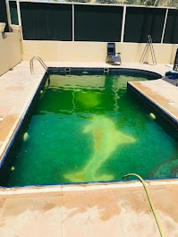 Swimming Pool Cleaning